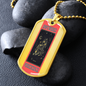 Capricorn Secrets Necklace